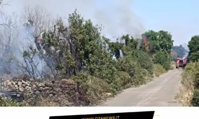 Incendio Tra Presicce Acquarica E Salve Oltre 5 Ettari In Fumo