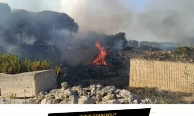 Lindifferenza Tra Fiamme E Crimine