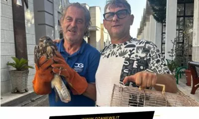 Una Poiana Salvata Nel Cimitero Di Ugento