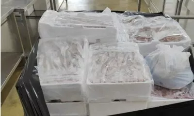 Screenshot 2025 08 02 Alle 11.34.32 1