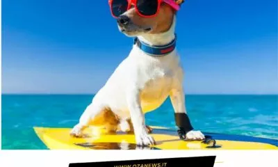 Turismo Canino Unaltra Occasione Persa Per Ugento 1