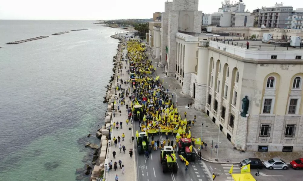 554951888 1211999797633479 1072888511643367325 N