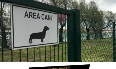 Area Cani A Ugento Ce Il Finanziamento Regionale