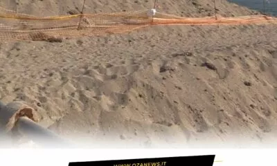 Cassazione Confermate Le Condanne Per Il Deposito Incontrollato Di Posidonia A Ugento