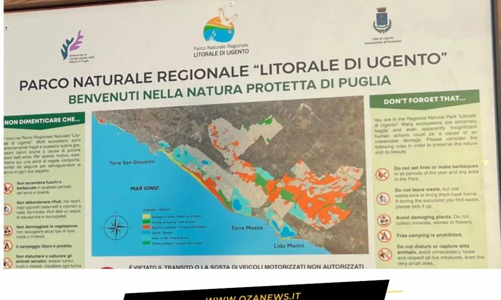 Cercasi Nuovo Direttore Del Parco
