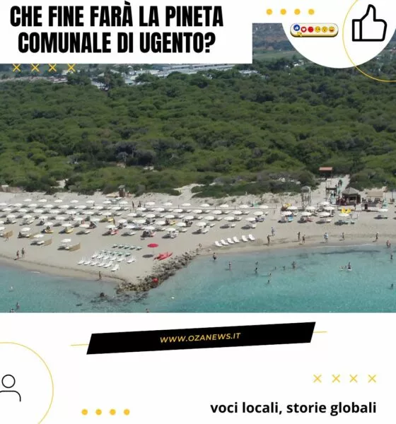 Ugento's pineta comunale (pine forest) overlooks a beach with umbrellas and people.