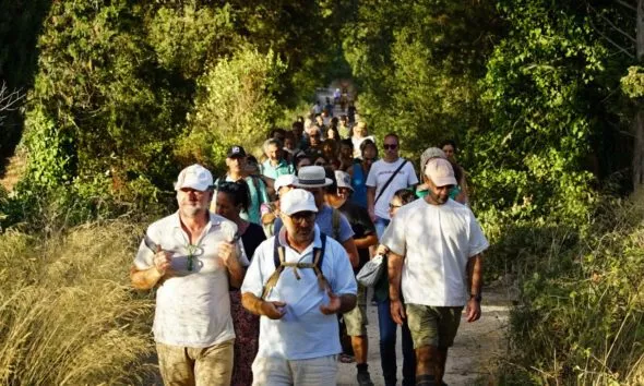 NOTTE VERDE MARCIA DEL SEME 