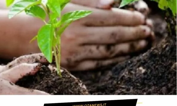 Salento Tra Verde Cultura E Cronacala Rassegna Stampa Di Oggi