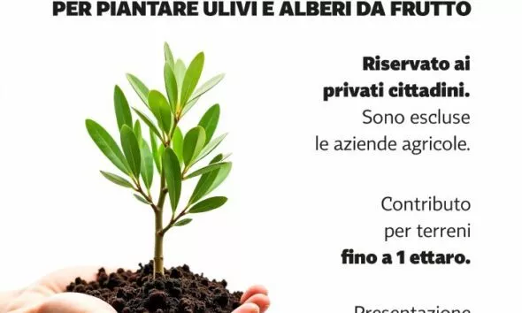 Nuove regole per rifiuti e decoro urbano a Presicce-Acquarica