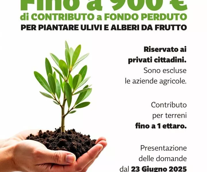 Nuove regole per rifiuti e decoro urbano a Presicce-Acquarica