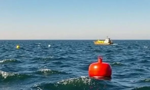 Nuove Boe Di Segnalazione A Ugentop